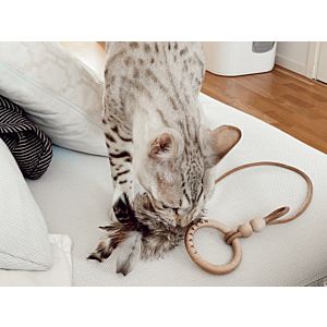 Labbvenn Musse Cat Toy